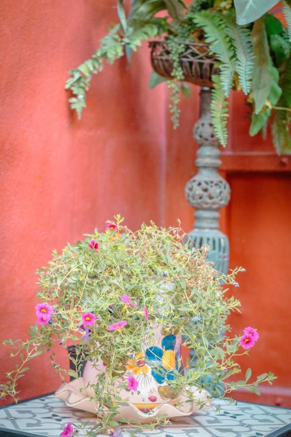 Flatguest Casa Del Sol - Terrace - Parking Las Palmas de Gran Canaria Exterior foto